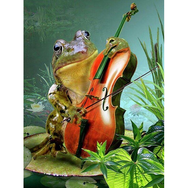 Animals Funny Guitar Playing Frog Painting Kit